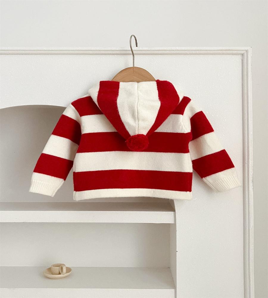 Striped Charm Knit Hoodie