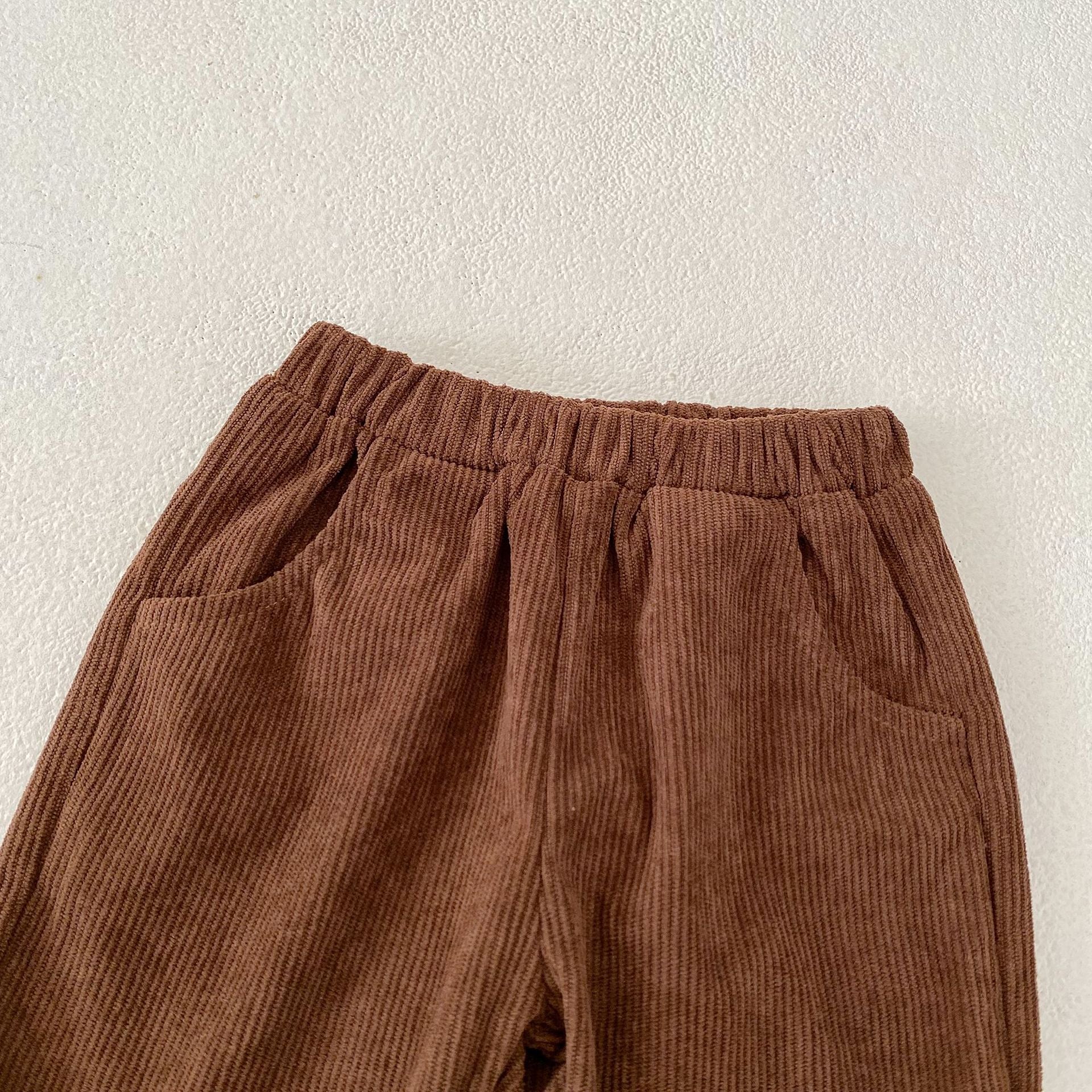 Hudson Corduroy Jogger Pants