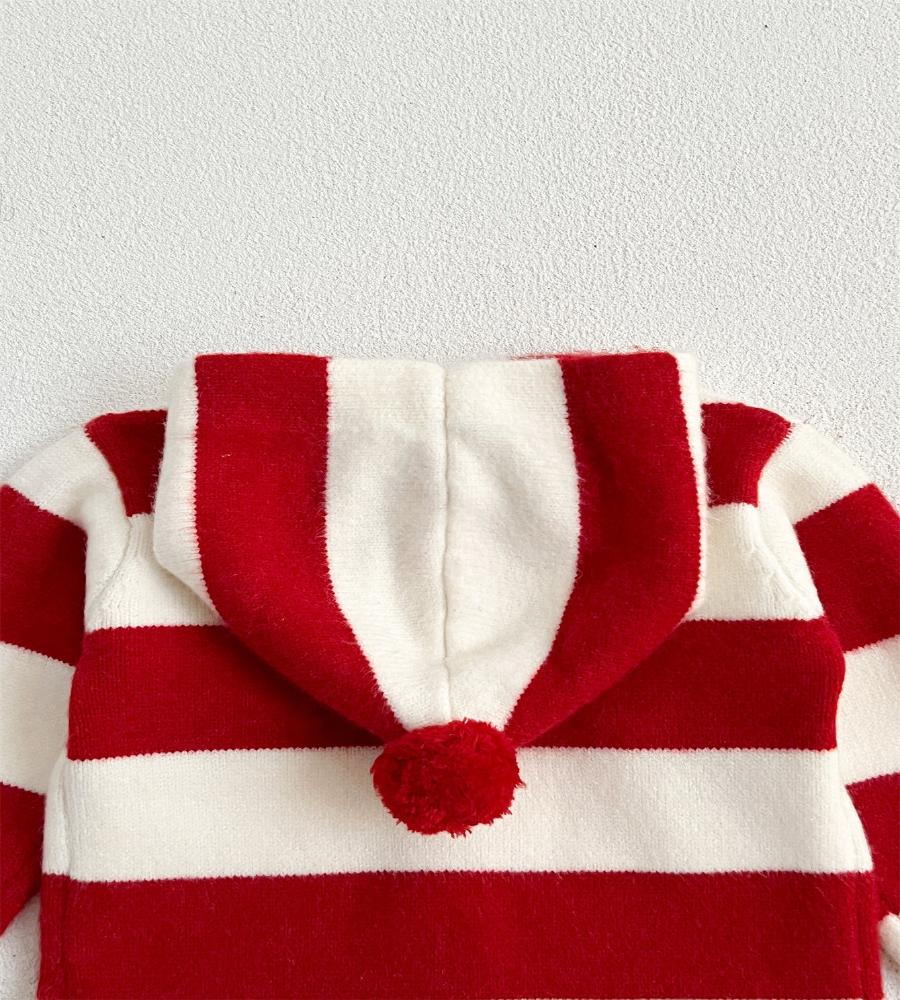 Striped Charm Knit Hoodie