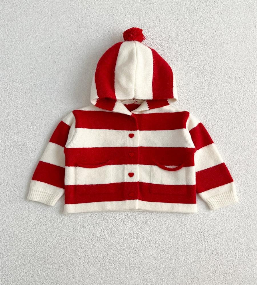 Striped Charm Knit Hoodie